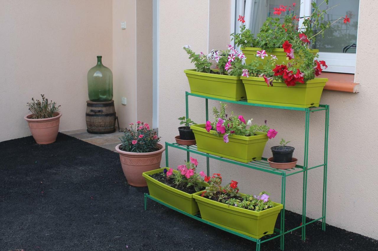 Saint-Nicolas-de-la-Grave B&B La Garona מראה חיצוני תמונה